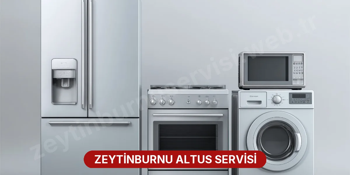 Zeytinburnu Altus Servisi
