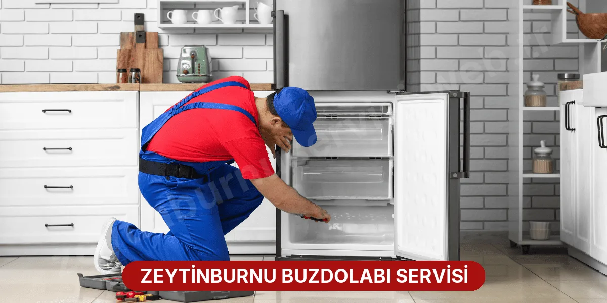 Zeytinburnu Buzdolabı Servisi