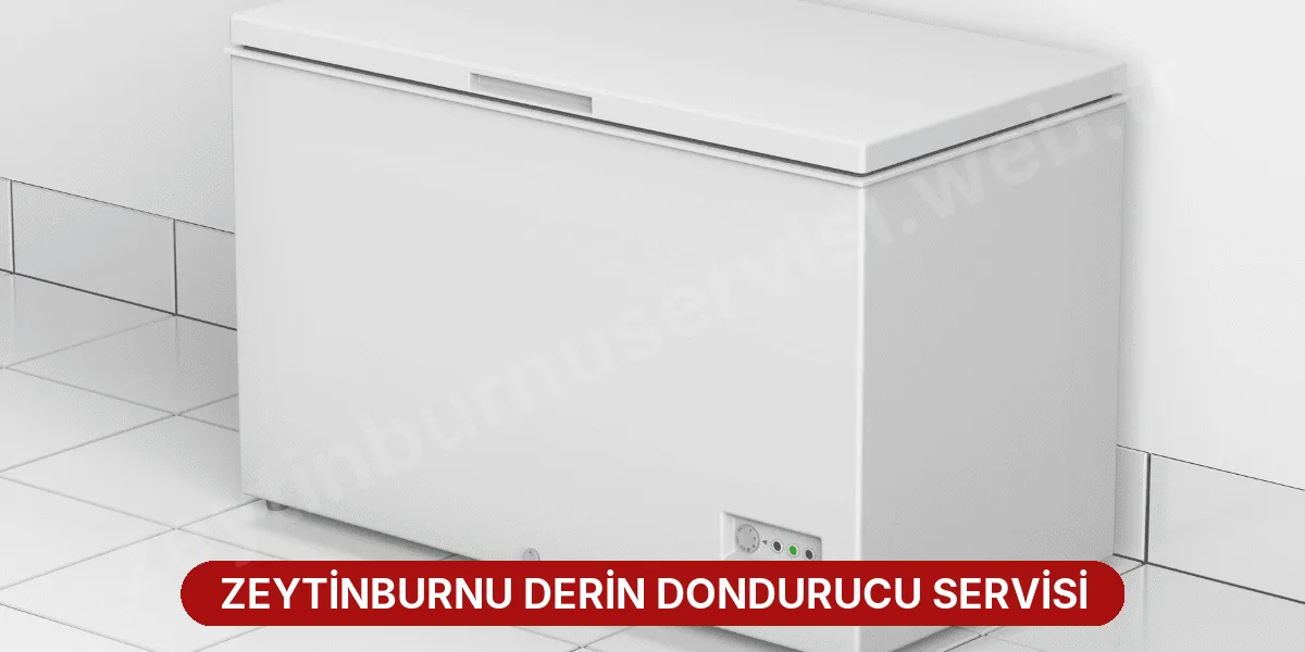 Zeytinburnu Derin Dondurucu Servisi