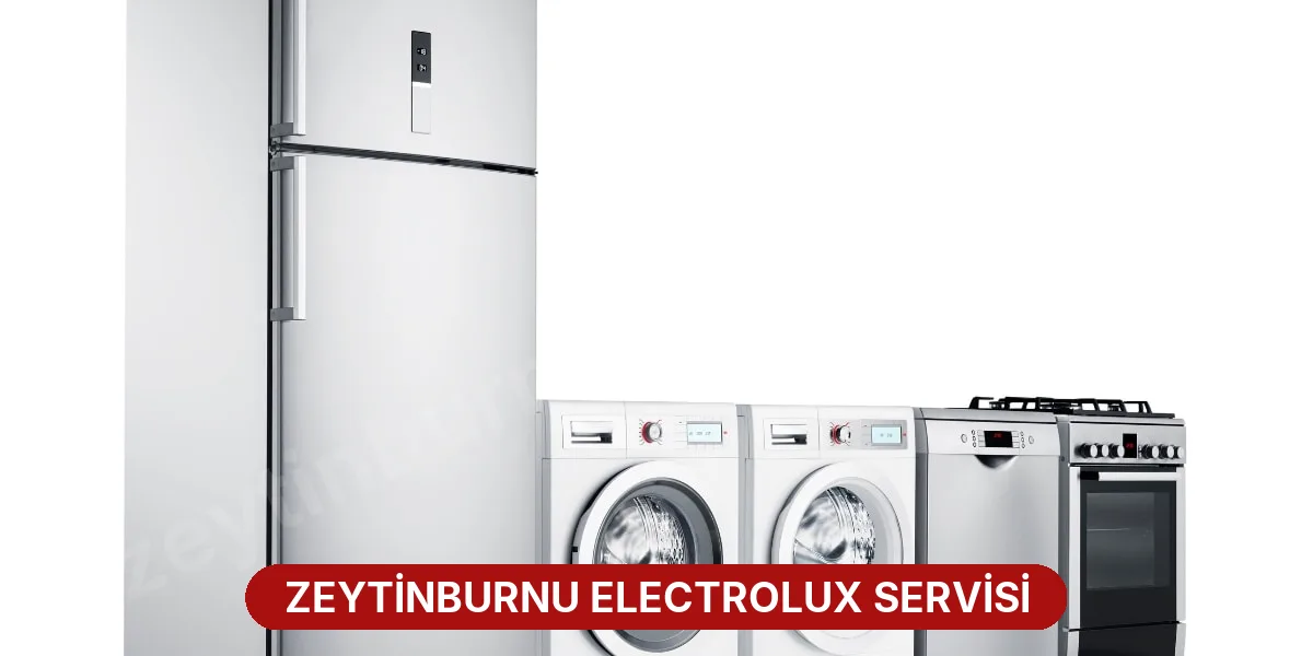 Zeytinburnu Electrolux Servisi