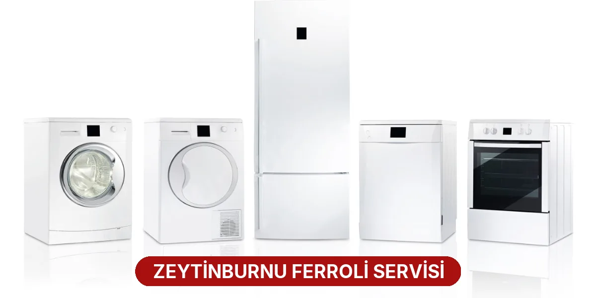 Zeytinburnu Ferroli Servisi