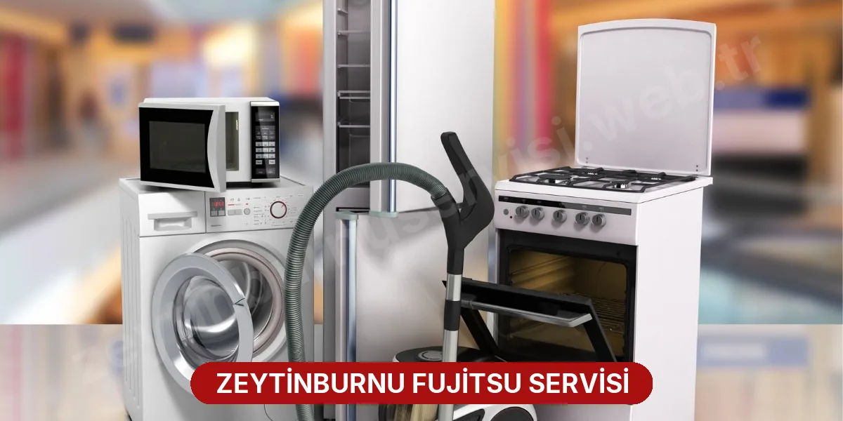 Zeytinburnu Fujitsu Servisi