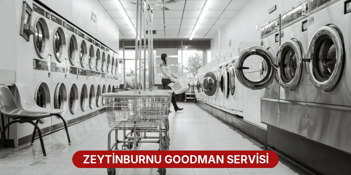 Zeytinburnu Goodman Servisi