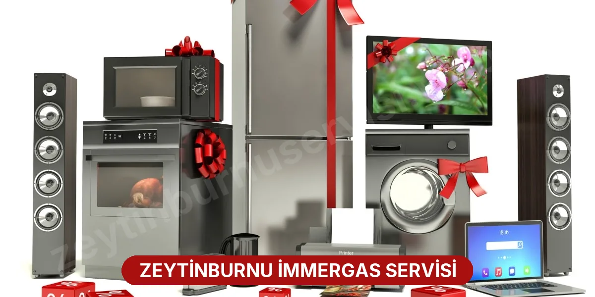 Zeytinburnu İmmergas Servisi