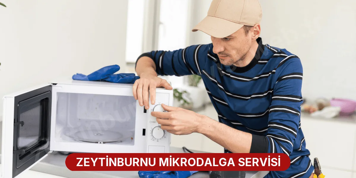 Zeytinburnu Mikrodalga Servisi