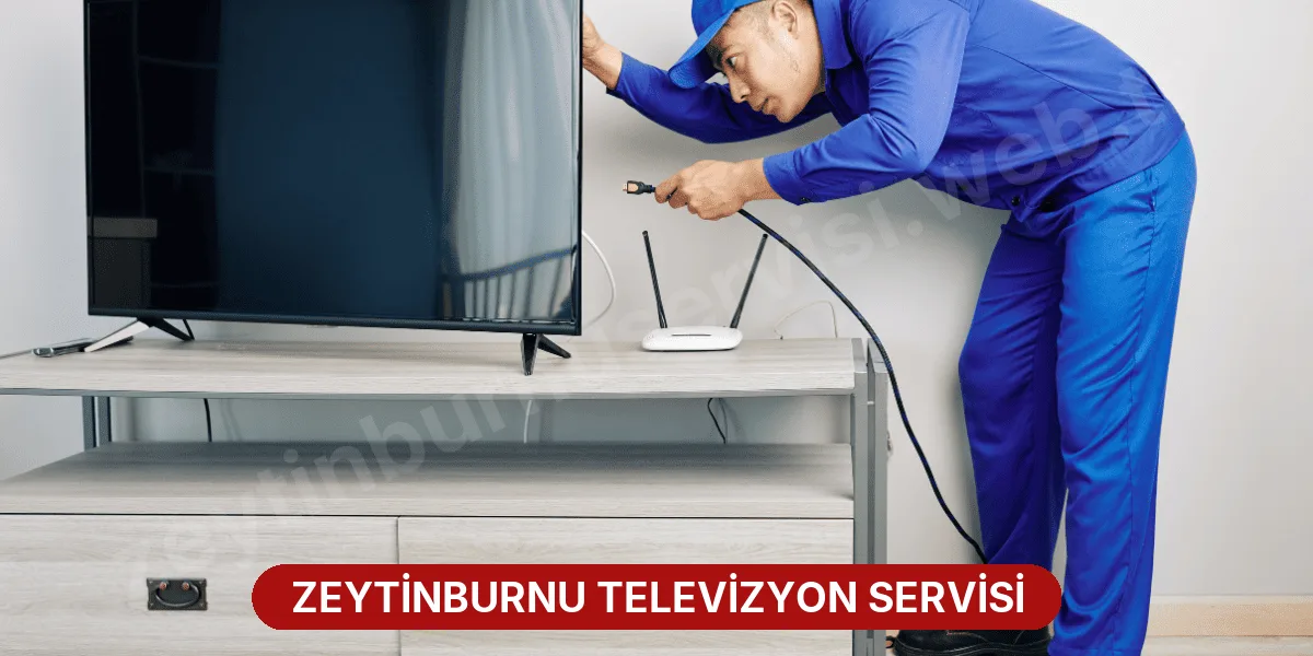 Zeytinburnu Televizyon Servisi