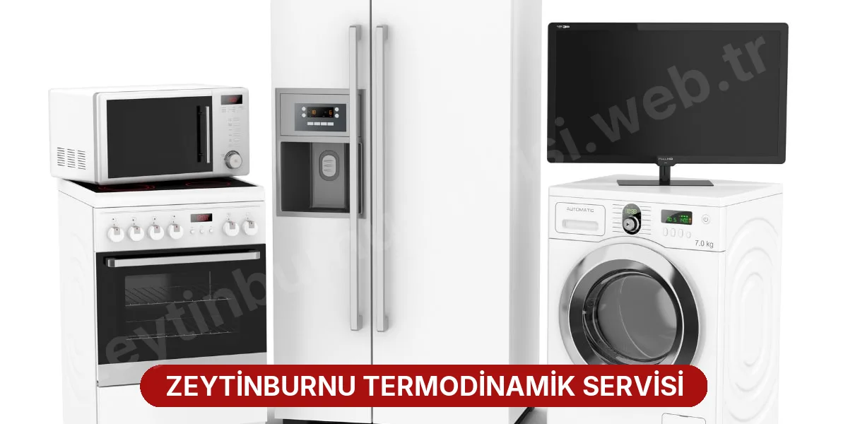 Zeytinburnu Termodinamik Servisi