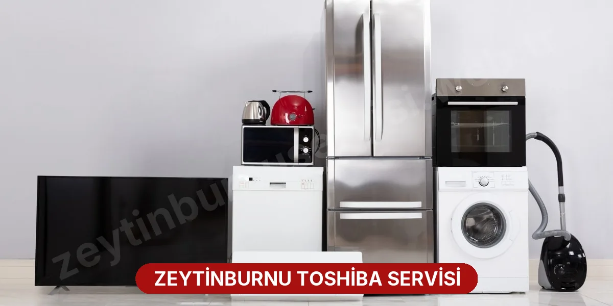 Zeytinburnu Toshiba Servisi