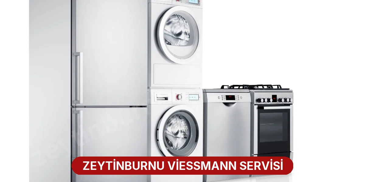 Zeytinburnu Viessmann Servisi
